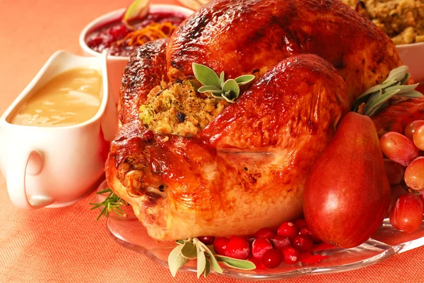 Turkije met jus, vulling en cranberry saus — Stockfoto