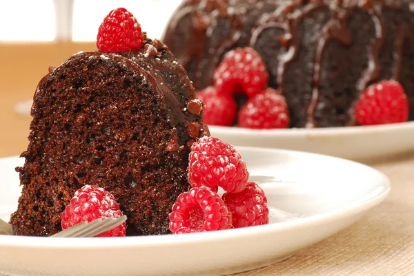 나무 딸기와 초콜릿 퍼지 케이크 — 스톡 사진