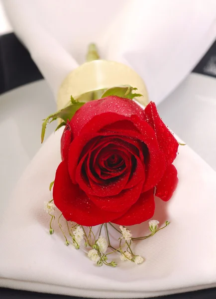 ディナー プレート上の単一の赤いバラ — ストック写真