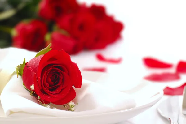 Rosa rossa su un piatto di pranzo con petali di rosa — Foto Stock
