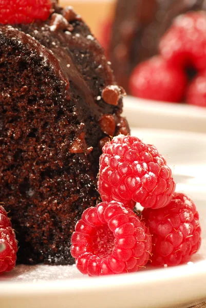 Chocolate fudge cake with raspberries — Stock Photo, Image