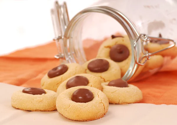 Peanut butter cookies with chocolate — Stock Photo, Image
