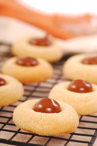 Печенье с арахисовым маслом и шоколадом — стоковое фото