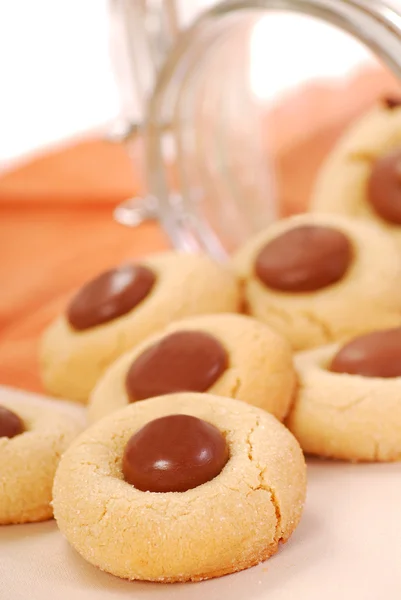 Peanut butter cookies with chocolate — Stock Photo, Image