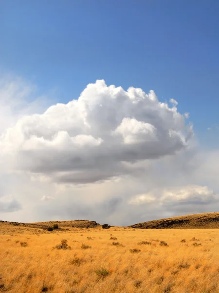 Prado rural con nubes de tormenta —  Fotos de Stock