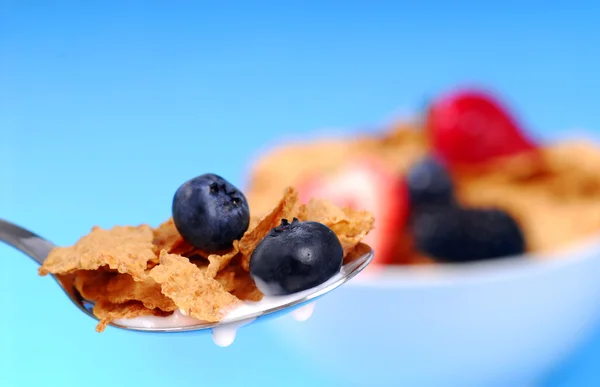 Colher de flocos de farelo com frutas — Fotografia de Stock