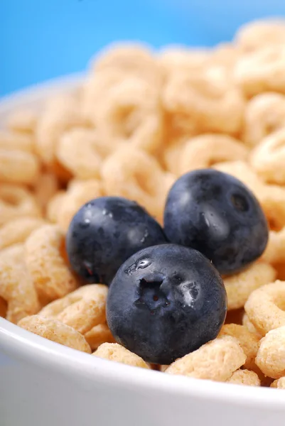 Cereali di avena con mirtilli — Foto Stock