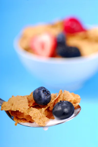 Spoonful of bran flakes with fruit — Stock Photo, Image