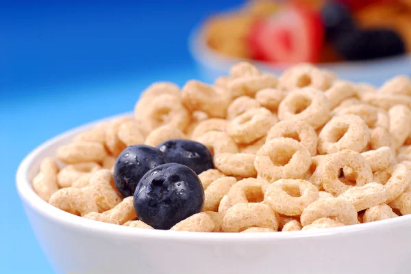 Bowl of oat cereal with blueberries — Stock Photo, Image