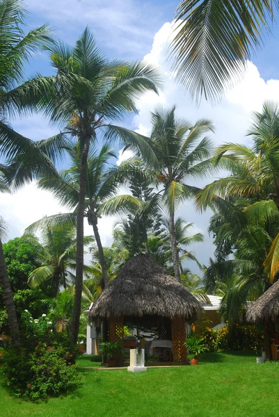 stock image Tranquil massage hut in the tropical Dominican Republic