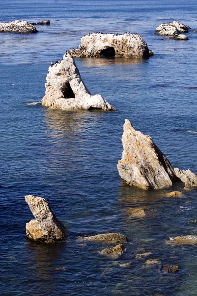 Rocks off of Pismo Beach California — Stock Photo, Image