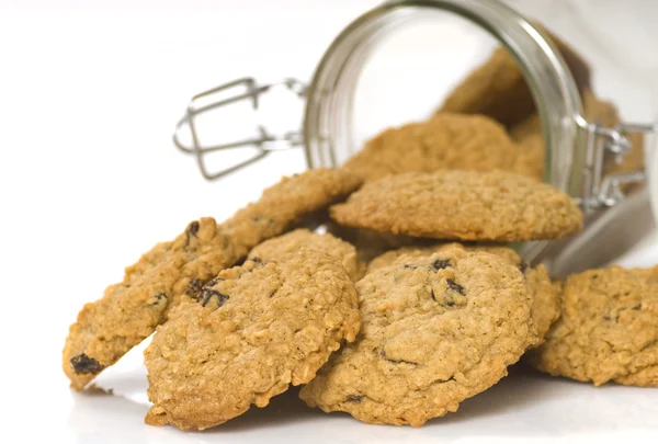 Chutné ovesné korintská cookie — Stock fotografie