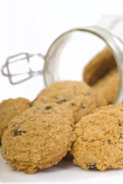 Heerlijke oatmeal rozijnen cookies — Stockfoto