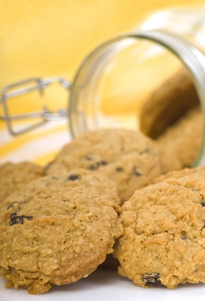 Νόστιμα πλιγούρι βρώμης cookies σταφίδας — Φωτογραφία Αρχείου