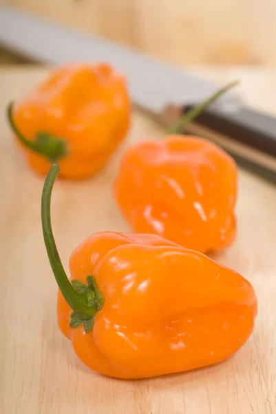 Fresh Habanero peppers — Stock Photo, Image