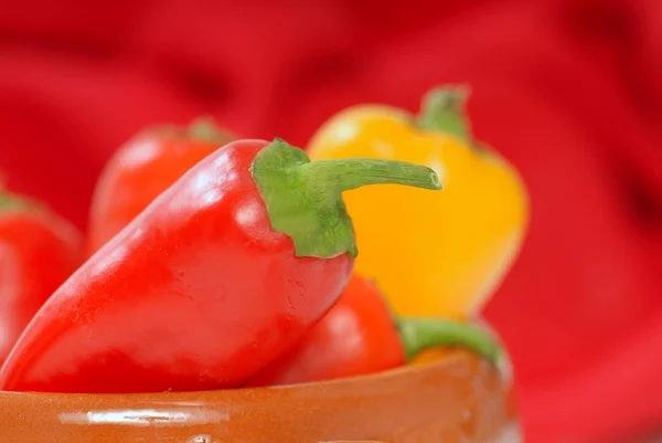 Variedad de chiles — Foto de Stock