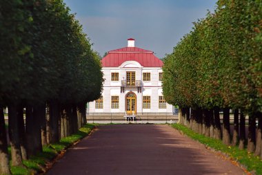 peterhof büyük yaz konutunda peter