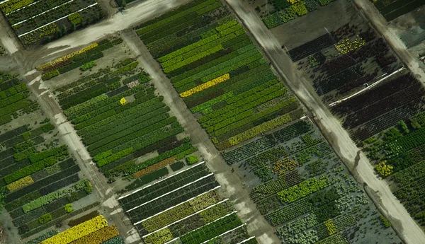 Luchtfoto van kleurrijke patronen in een kwekerij — Stockfoto