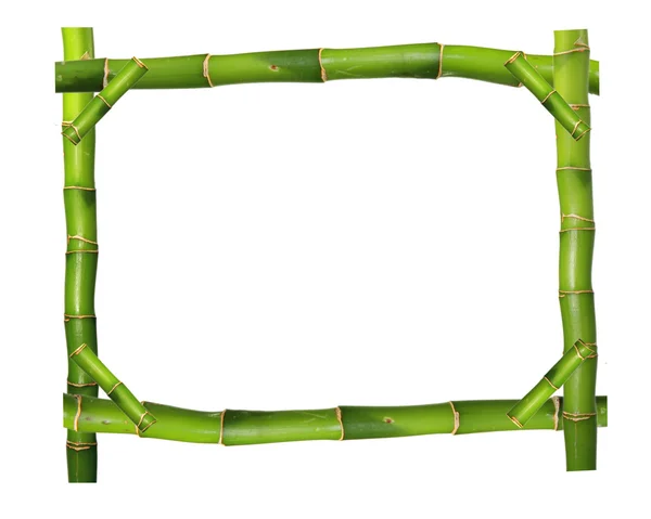 Bambus ramki wykonane z łodygi na biały — Zdjęcie stockowe