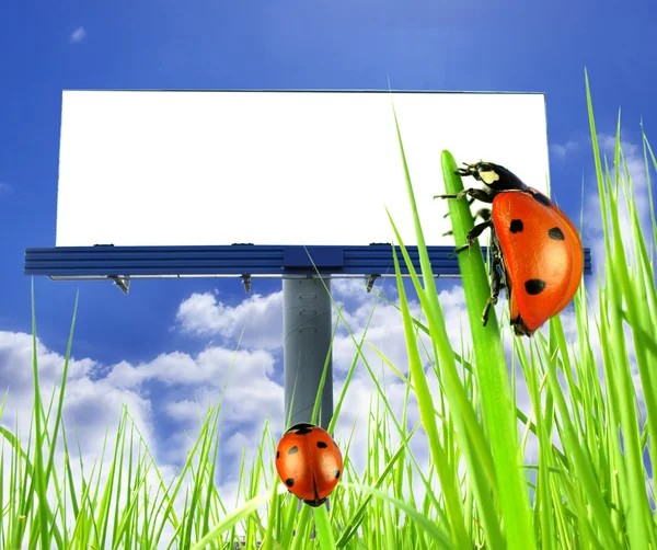 Большой билборд в поле — стоковое фото