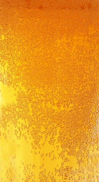 啤酒饮料 — 图库照片