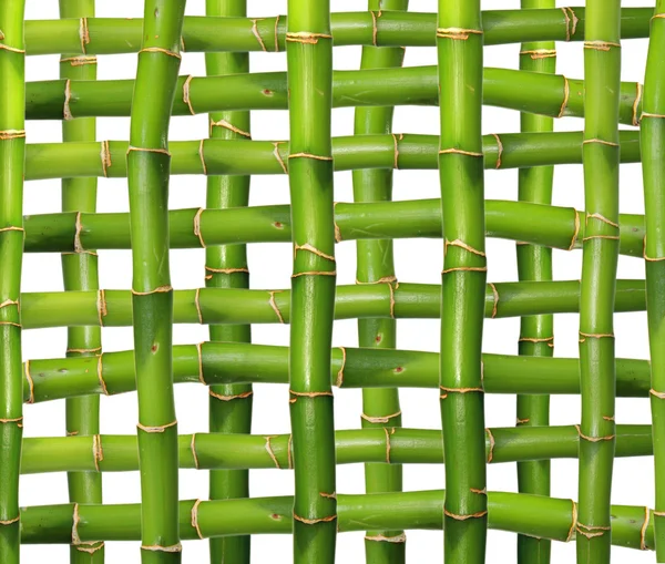 Bakgrund till bambu Stockfoto
