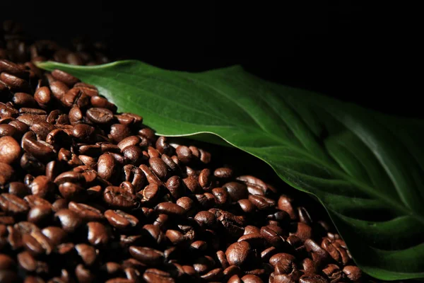 Kaffebönor och grönt blad närbild — Stockfoto