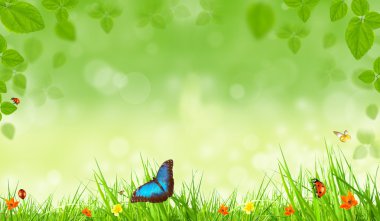 Spring background clipart