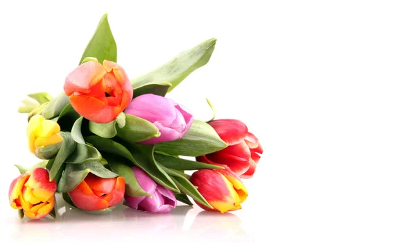Tulipanes de primavera — Foto de Stock