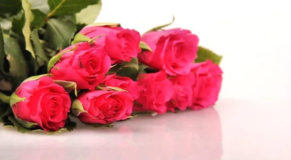 Růže červené květy na bílém pozadí — Stock fotografie
