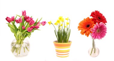 Flowers clipart