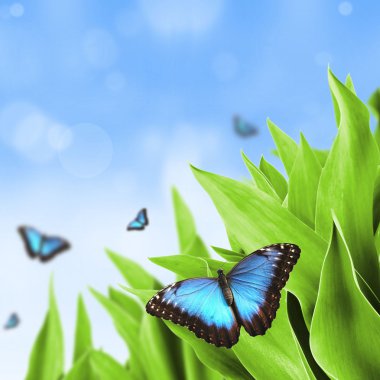 Natural background clipart