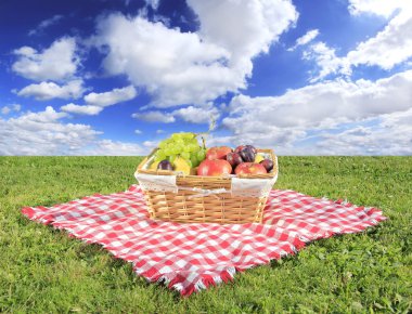 Picnic clipart