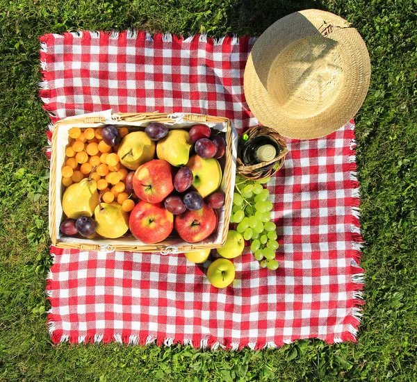 Piknik — Stok fotoğraf
