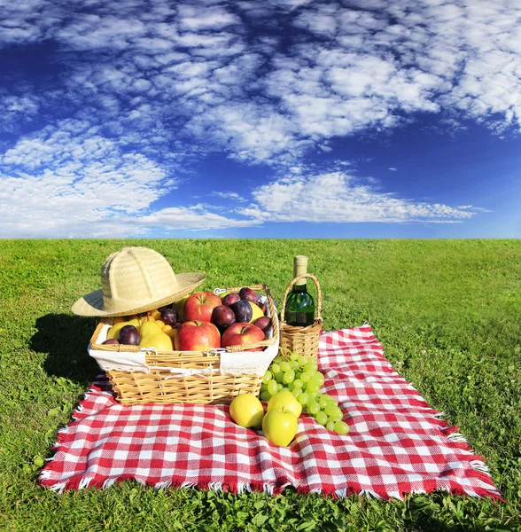 Piknik — Stock fotografie