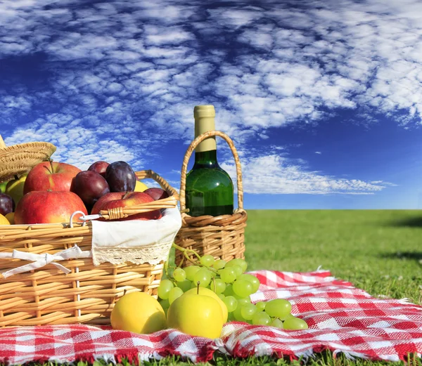 stock image Picnic