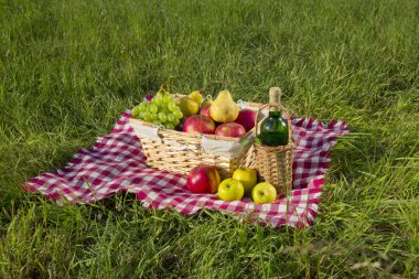 Piknik