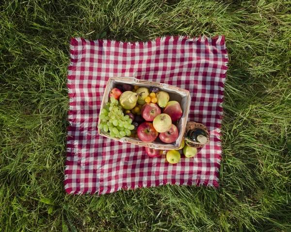 Пікнік — стокове фото