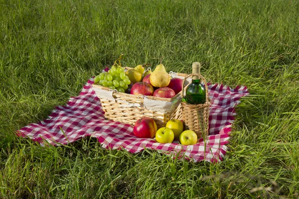 Пикник — стоковое фото