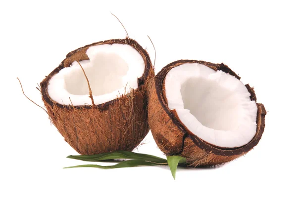Kokosnüsse auf weißem Hintergrund — Stockfoto