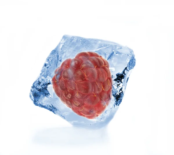 Ice raspberry — Stock Photo, Image