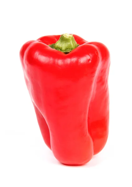 Rødt pepper – stockfoto