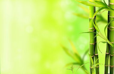 Bamboo background clipart