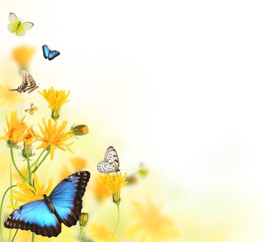 Butterflies in blooming meadow clipart