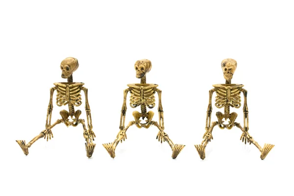 Skelette — Stockfoto