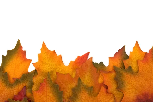 Podzimní hranice — Stock fotografie