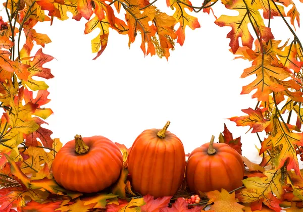 Okraj podzimních listů — Stock fotografie