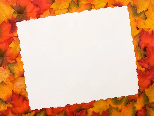 秋のメッセージ — ストック写真