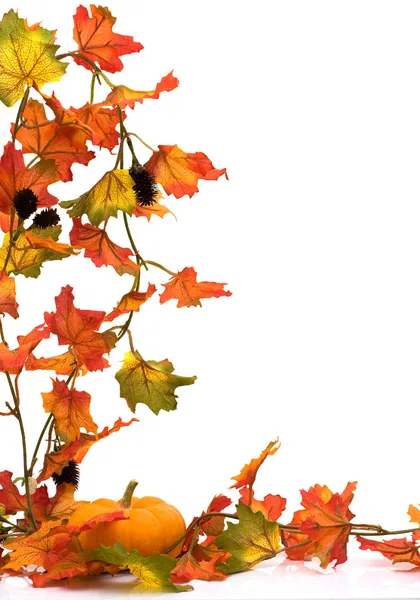 秋の景色 — ストック写真