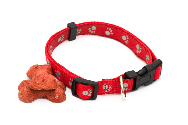 Dog Collar